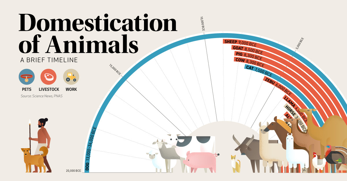 Timeline The Domestication of Animals.jpg