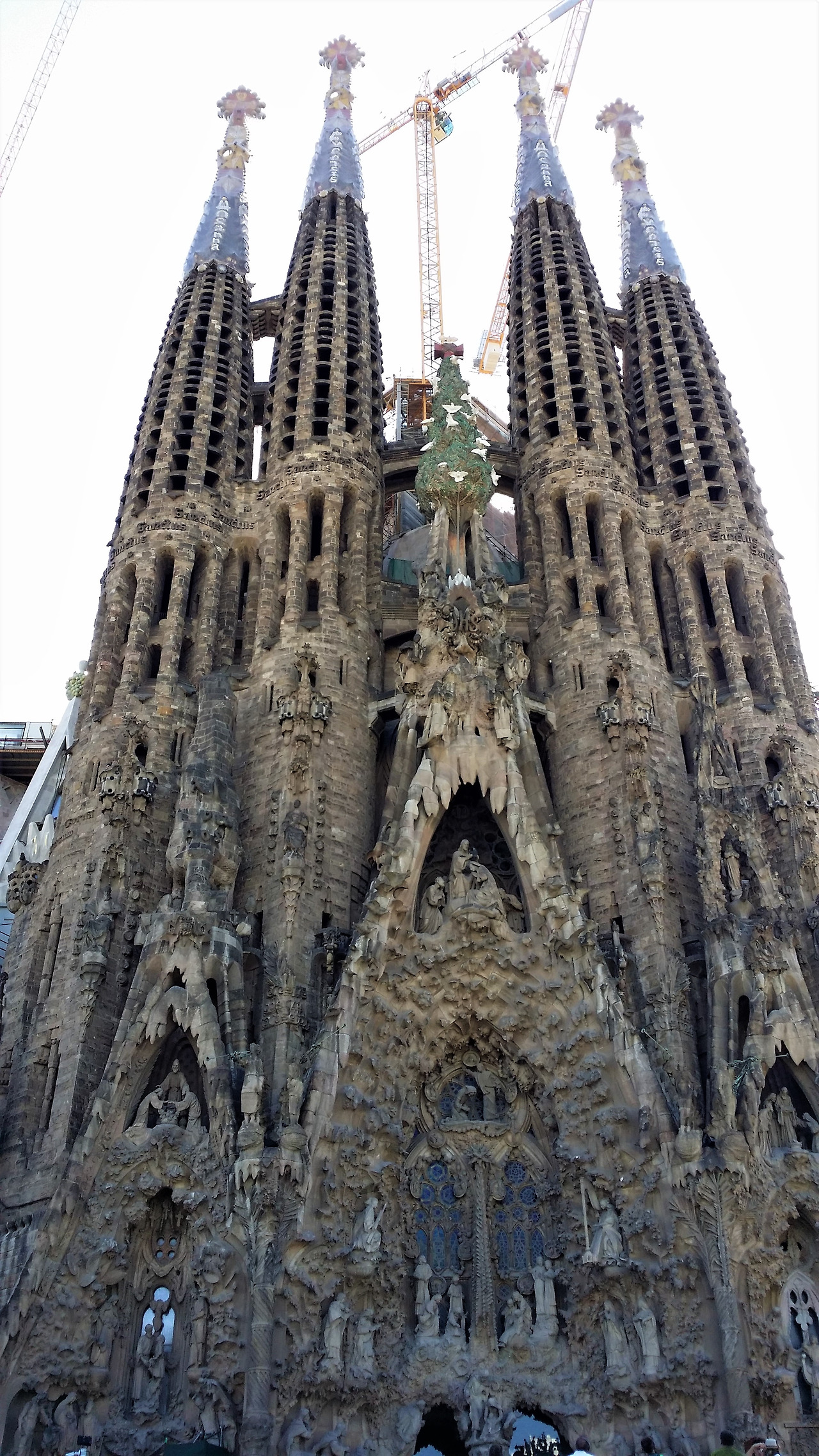 MyPhoto_1170156819_0127 (2).jpg