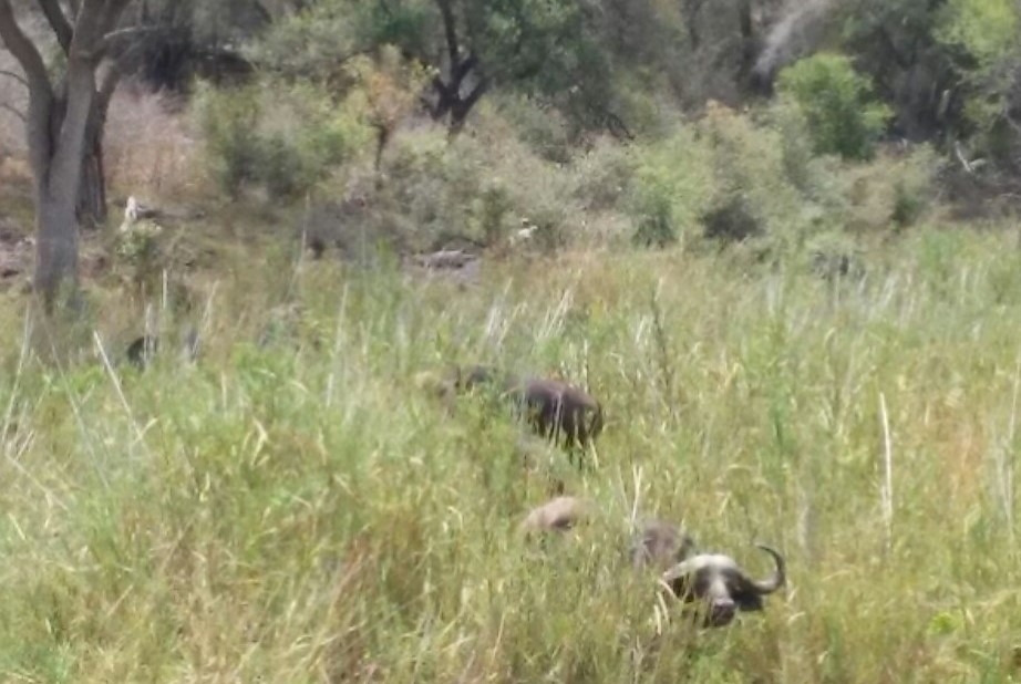 1507002211602 (3).jpg