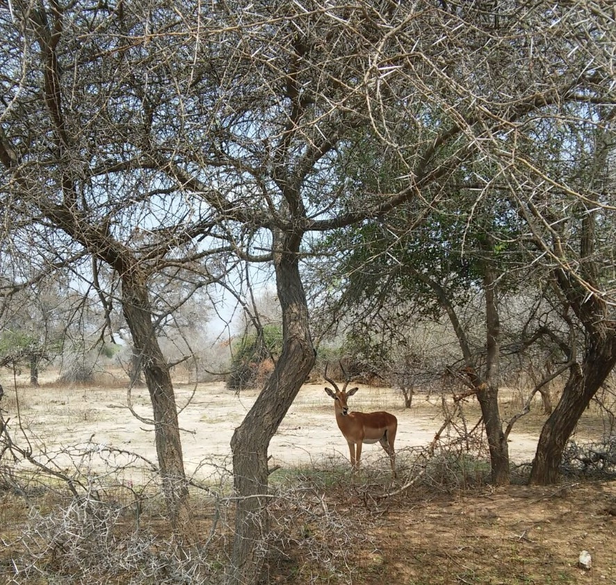 1507002217065 (2).jpg