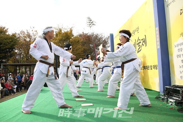 실버태권도 시범단 격파2.jpg