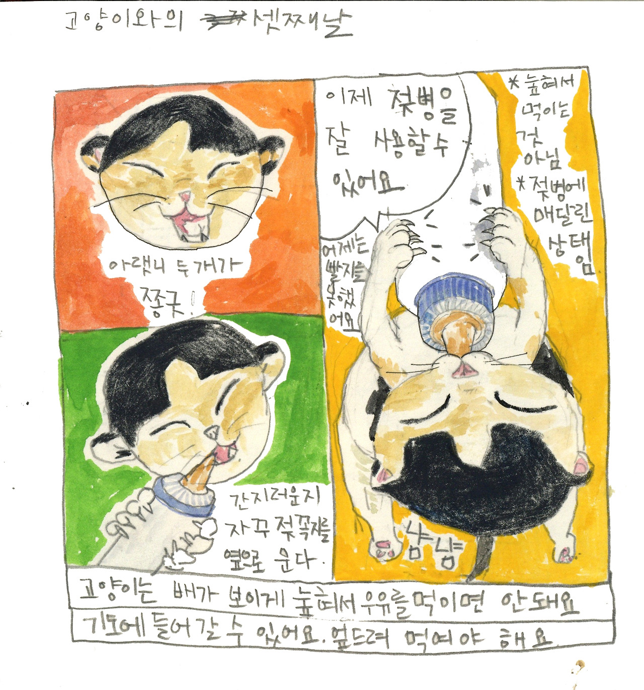 20190429고양이아랫니난날2.jpg
