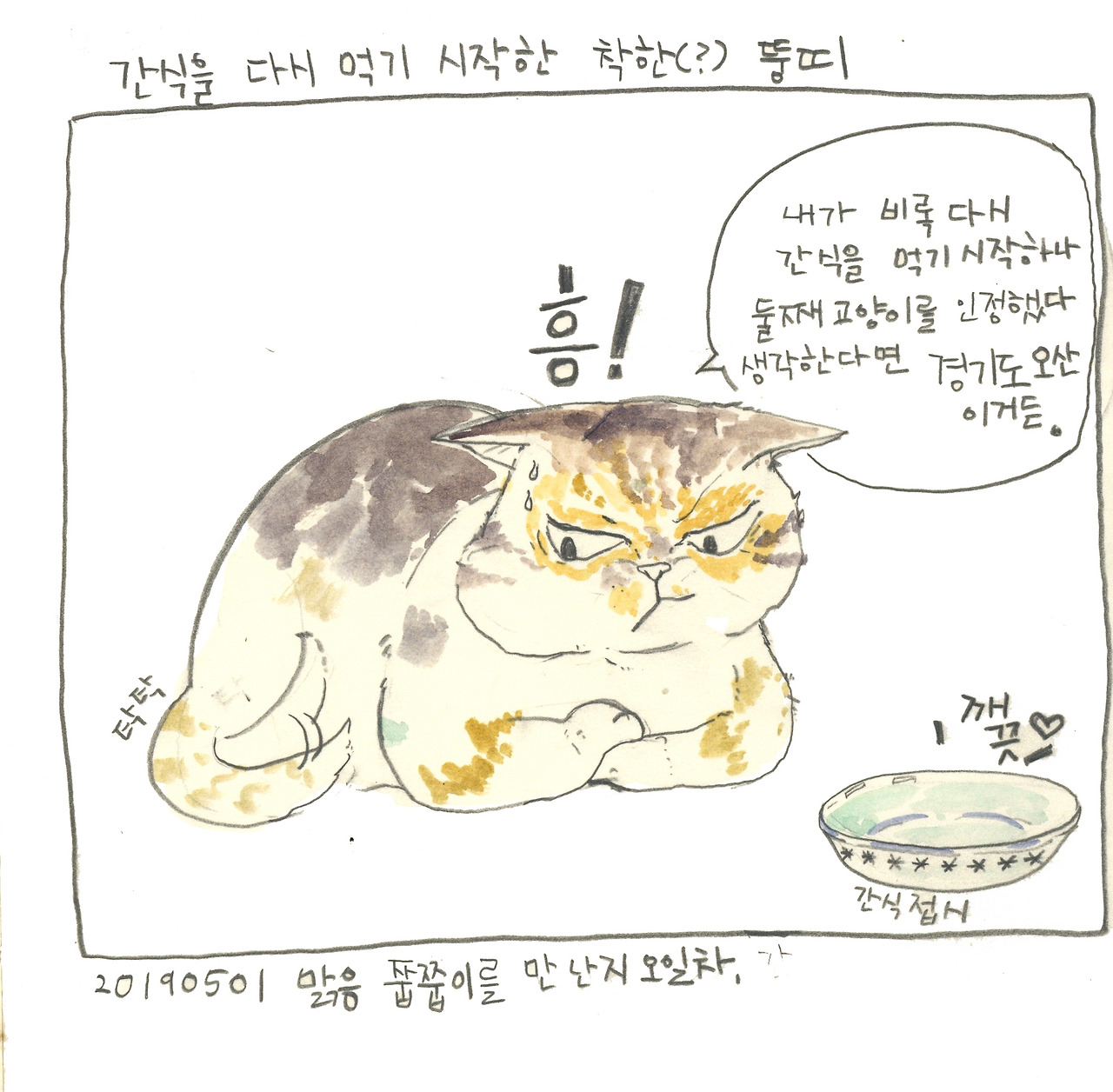 20190501뚱띠의간식투쟁2.jpg
