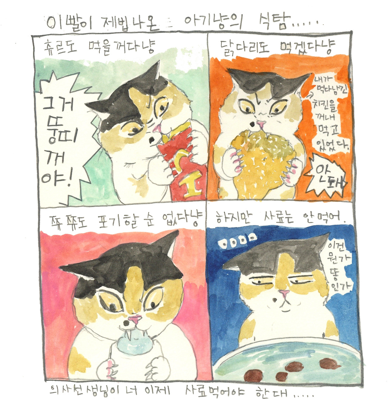 20190516아기고양이의식탐.jpg