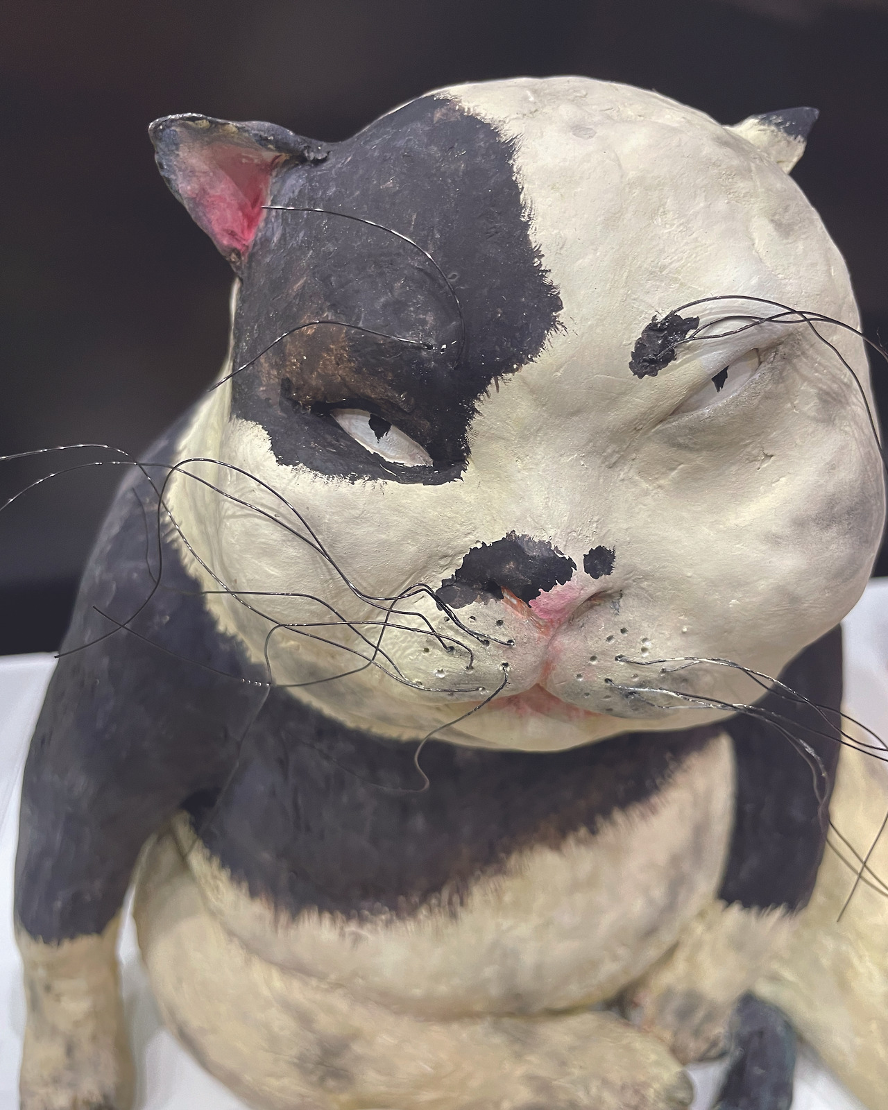 20250621사인회 7copy.jpg