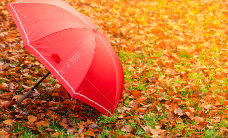 61446312-가-개념입니다-건강한-활동적인-라이프-스타일-빨간-우산-단풍-배경-안개가-자욱한-안개-낀.jpg