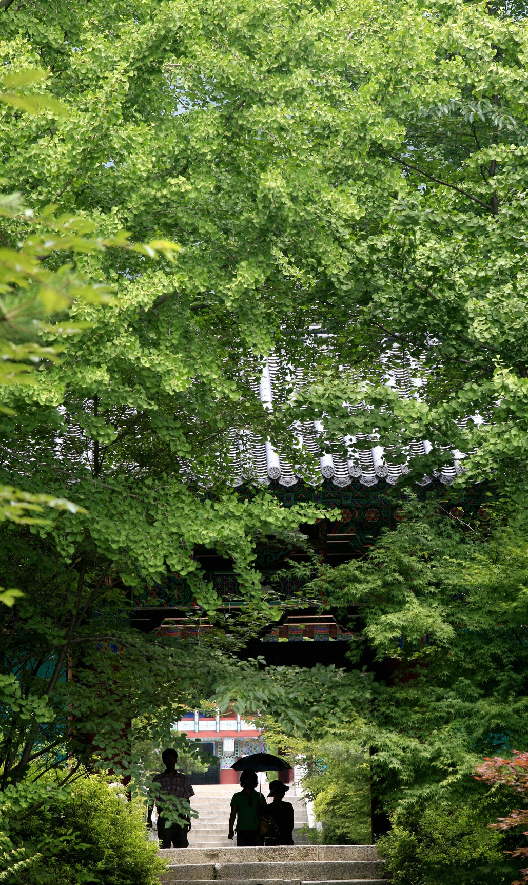 stephen_백명산-덕숭산080715양 (18).jpg