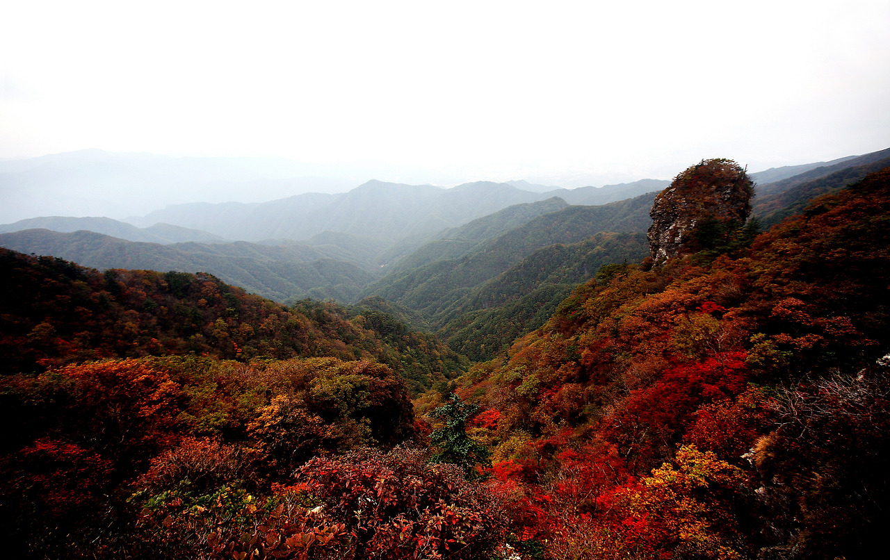 치악산단풍071013양06.jpg