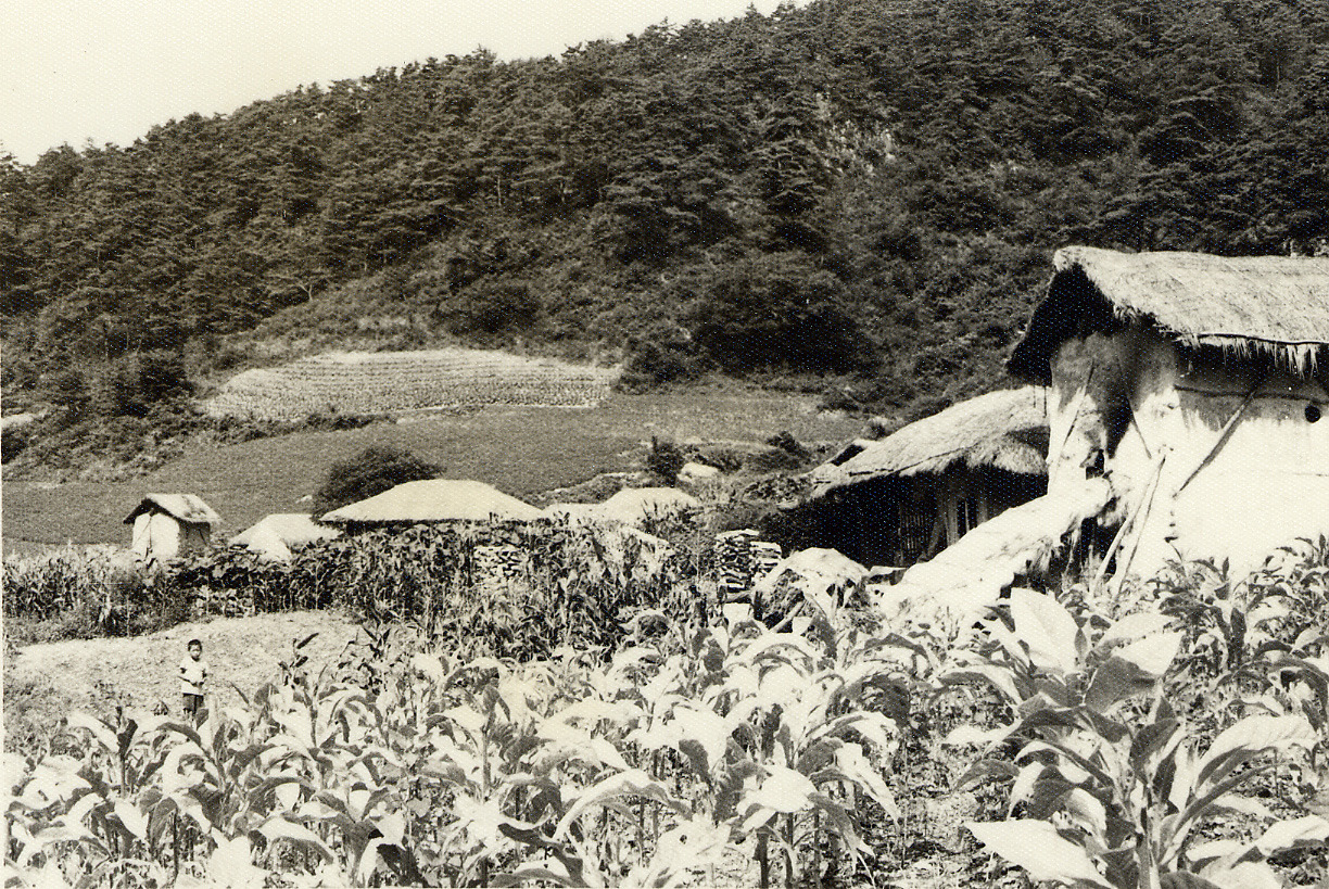1974_0804_68_제2차 산맥답사(주왕산).jpg