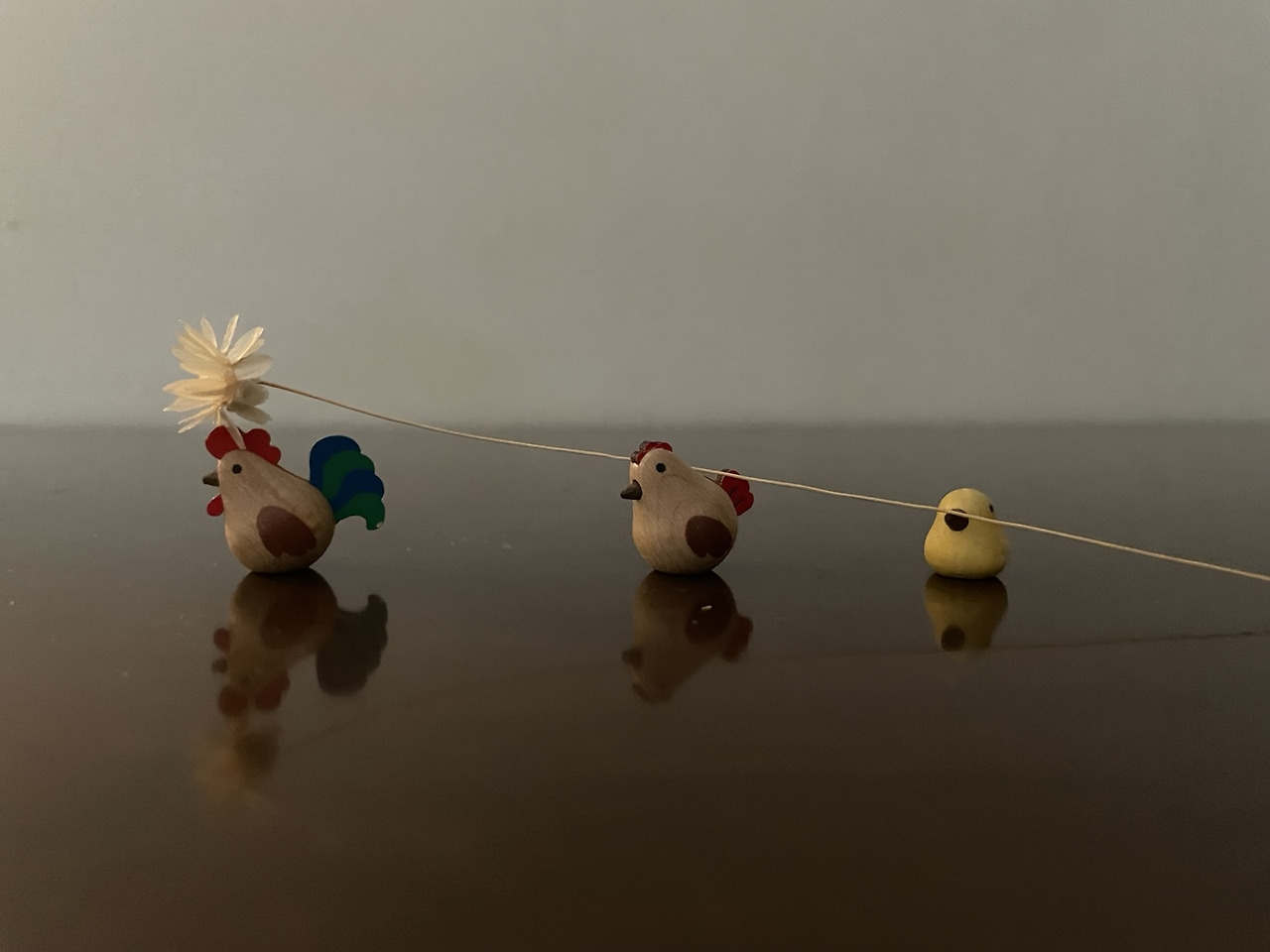 KakaoTalk_20250506_194536023_03 (1).jpg