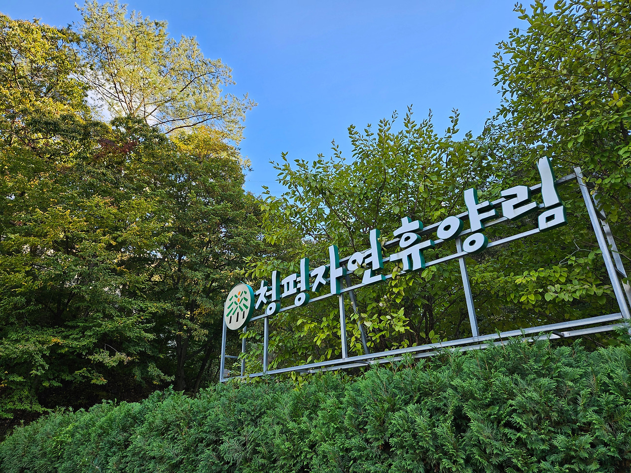 14화 북한강 바라보며 커피 한 잔,  청평 자연휴양림