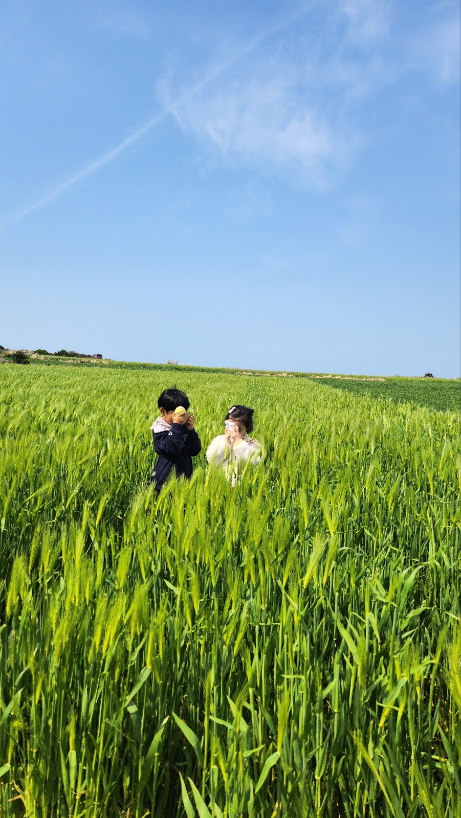 귀여운 S양과 H군.jpg