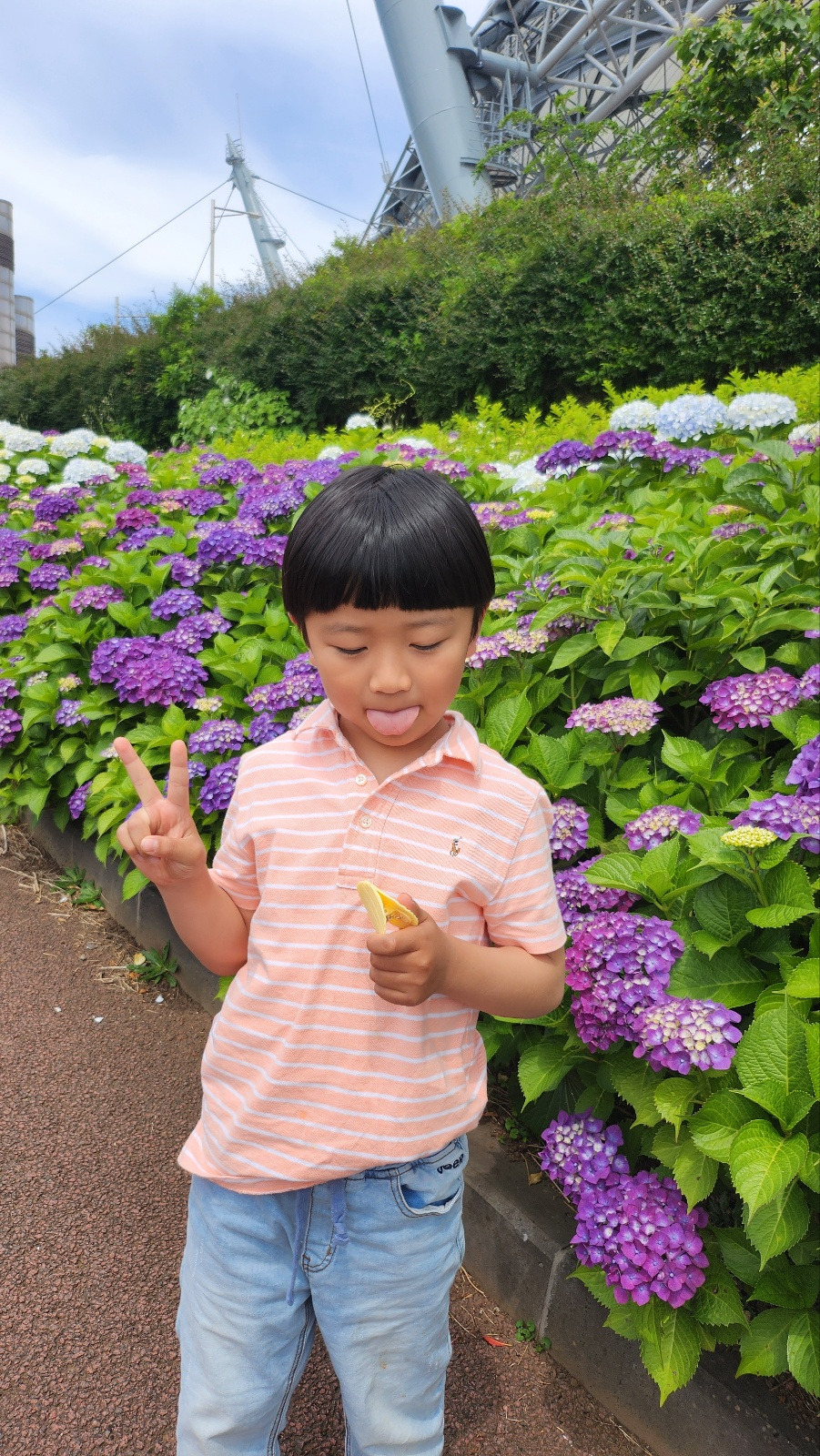 월드컵공원 수국.jpg