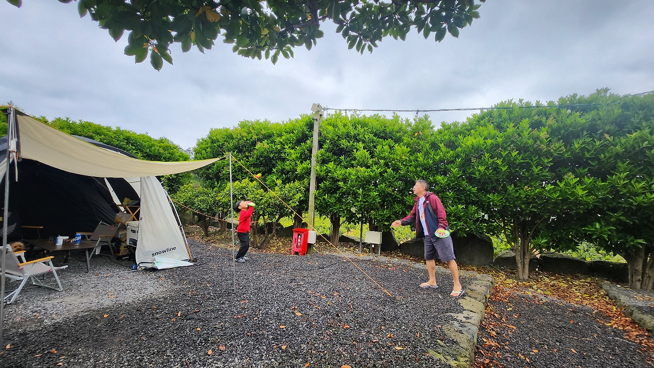 귤빛 캠핑장.jpg