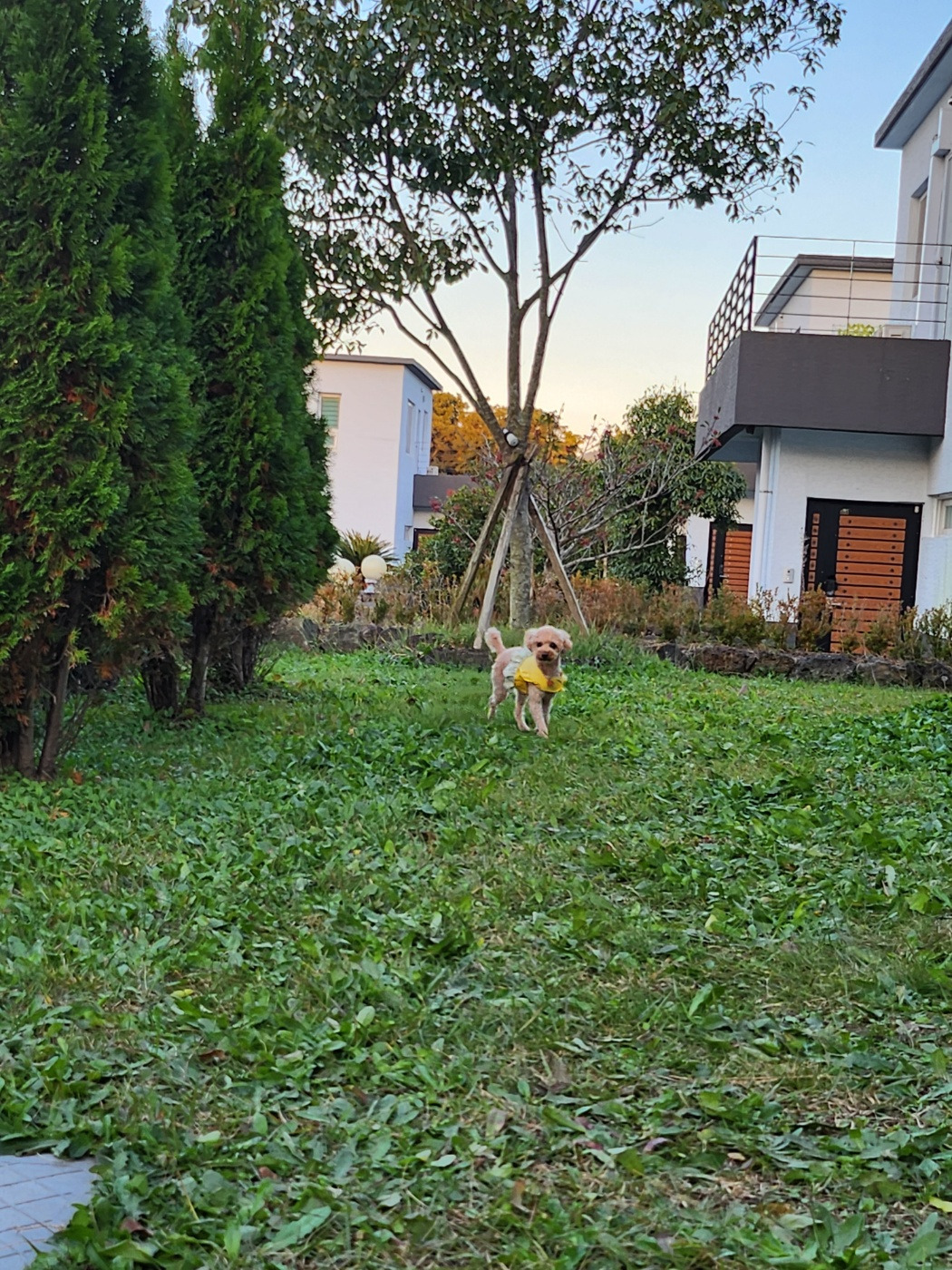 제주집 안보리.jpg