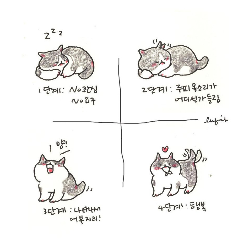 62.jpg