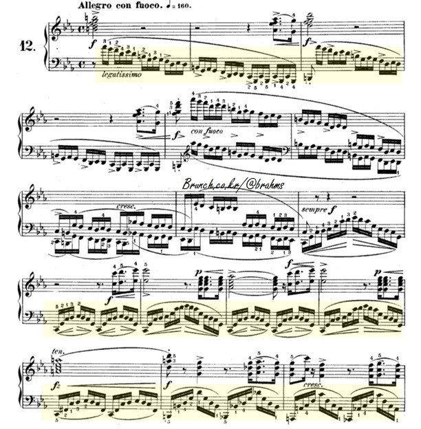 쇼팽 에튀드 10-12.jpg