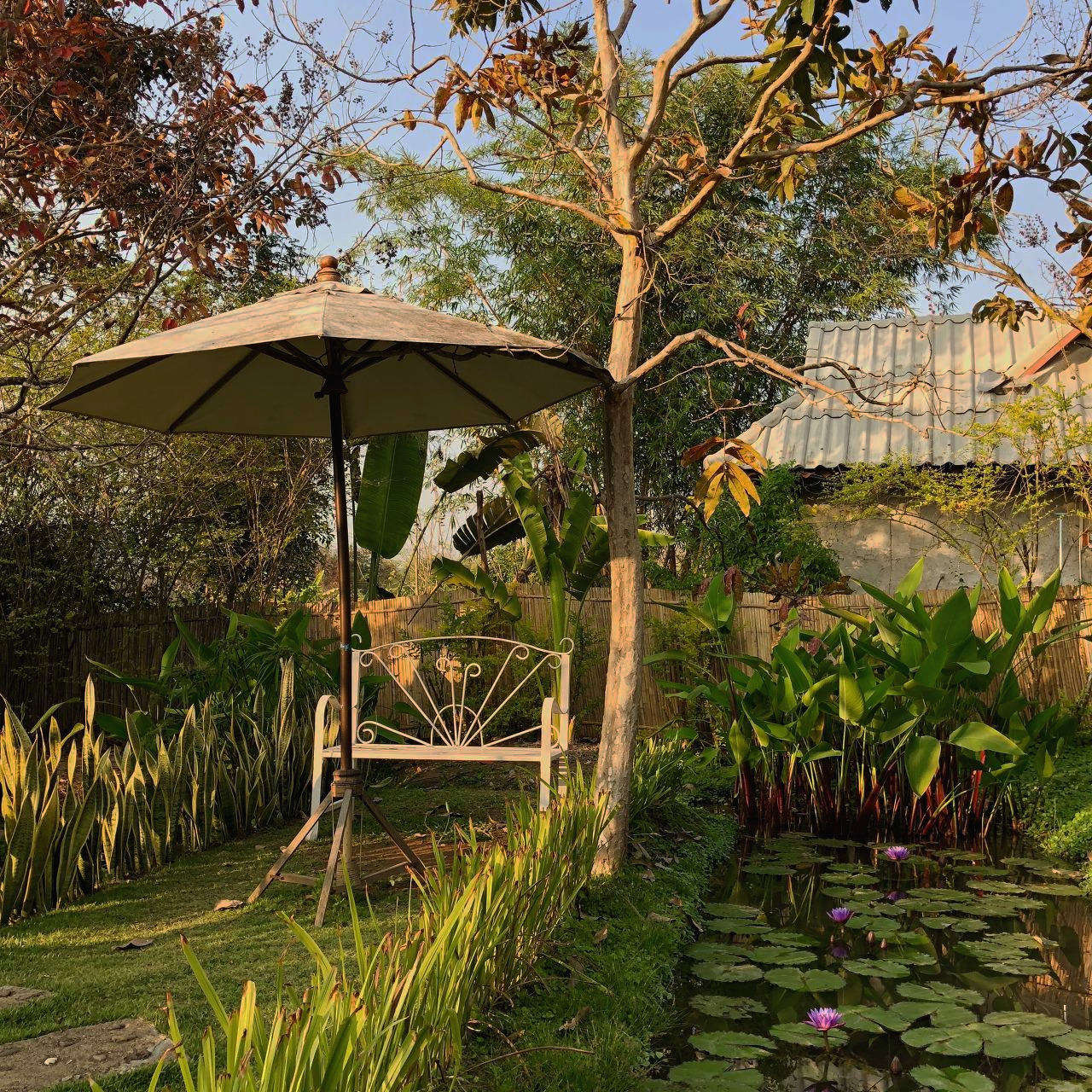 태국 - 1 (31).jpg