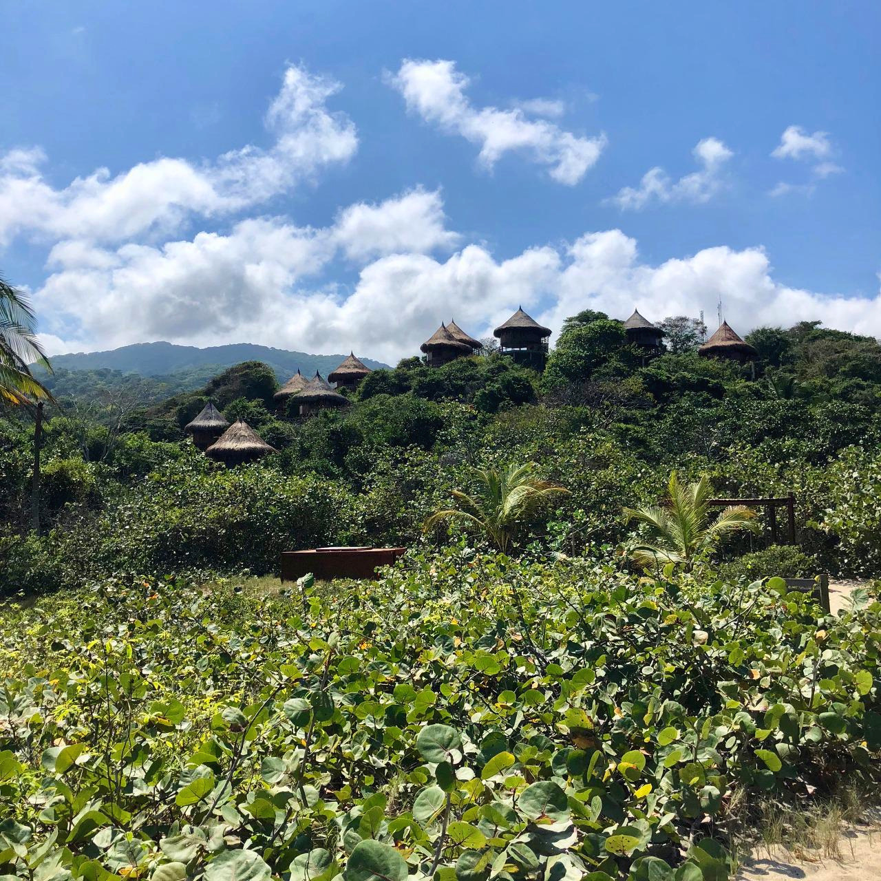 콜롬비아 - 1 (41).jpg