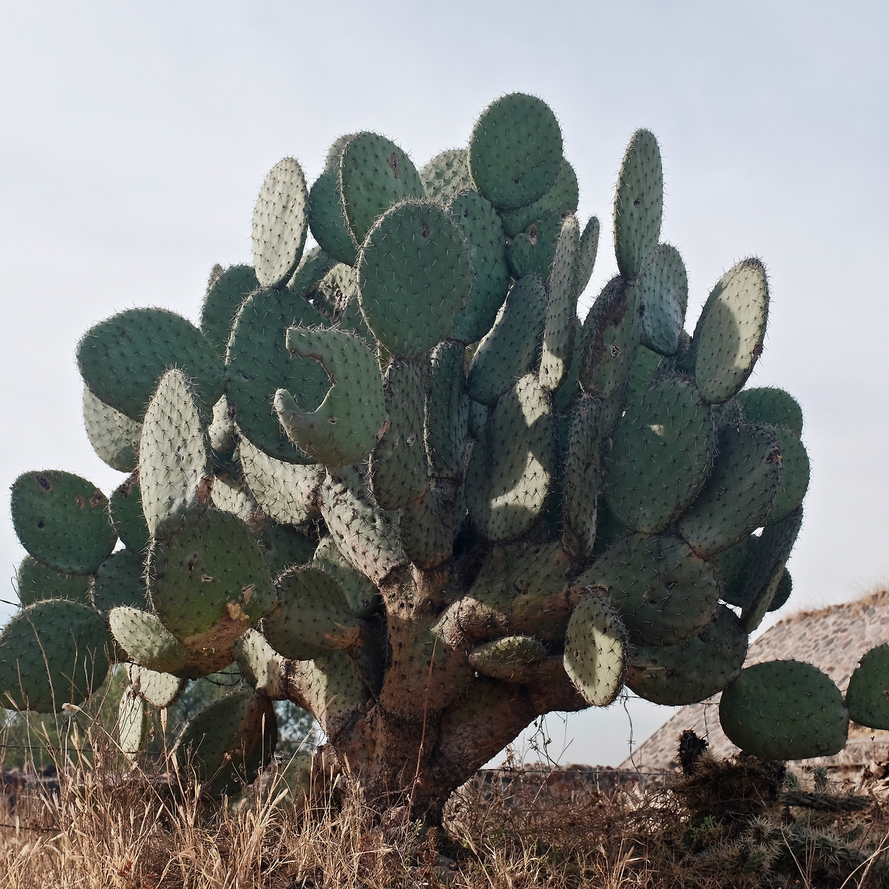 멕시코 - 1 (24).jpg