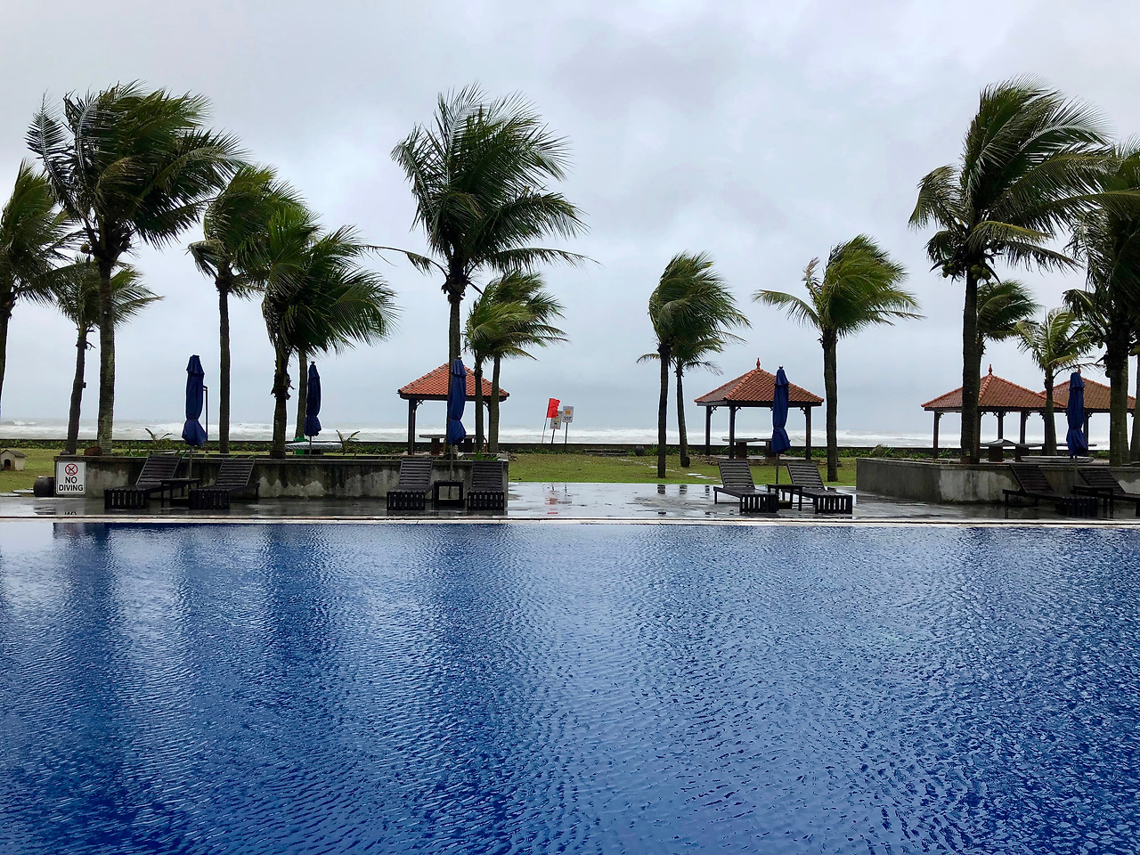 베트남 - 1 (5).jpg