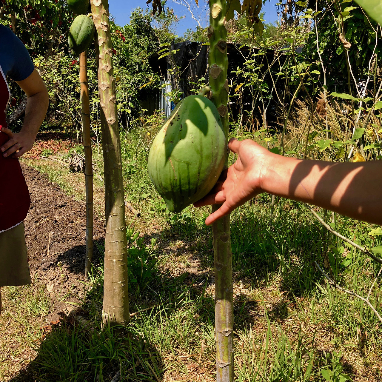 태국 - 1 (2).jpg