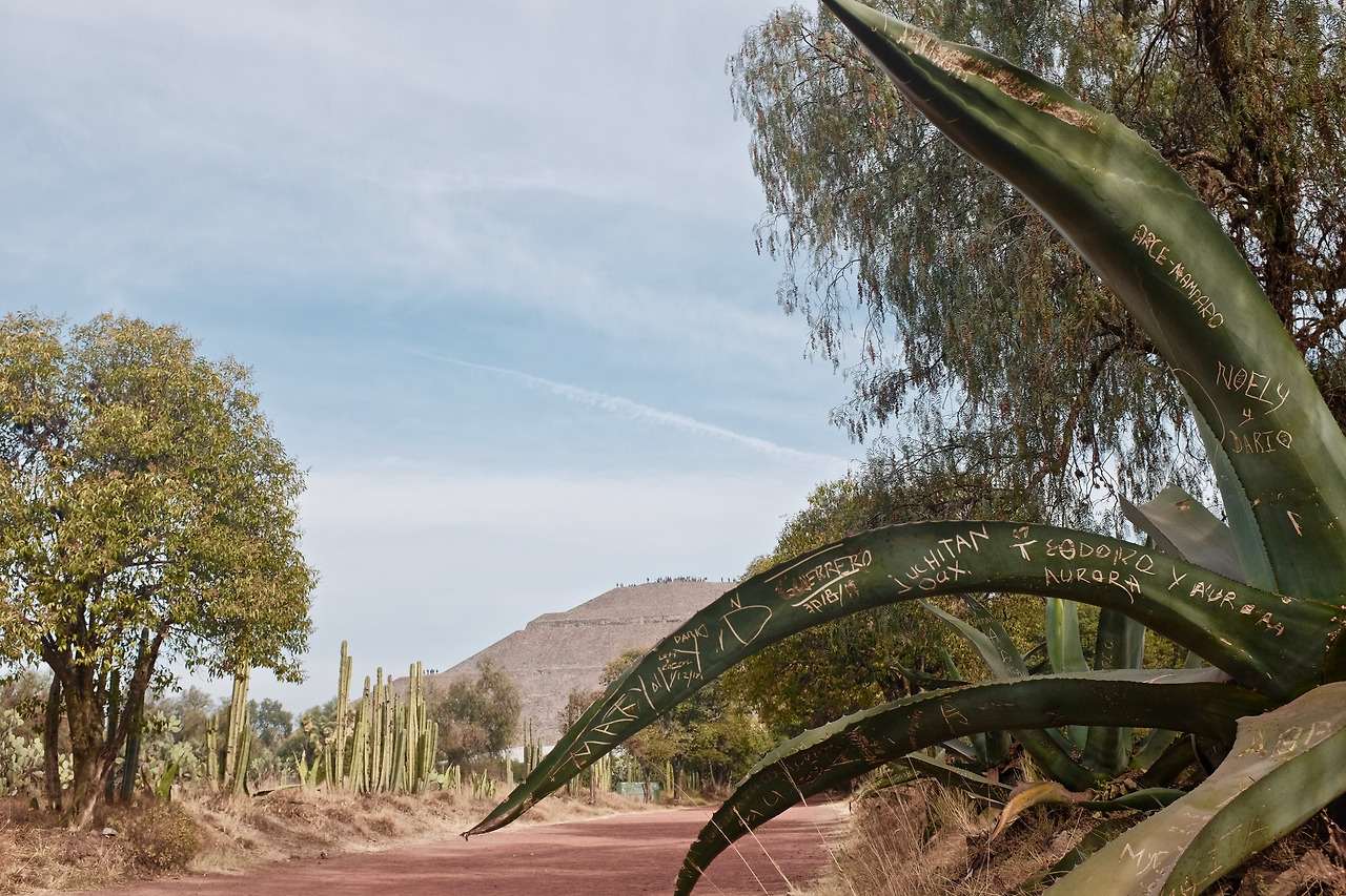 멕시코 - 1 (26).jpg