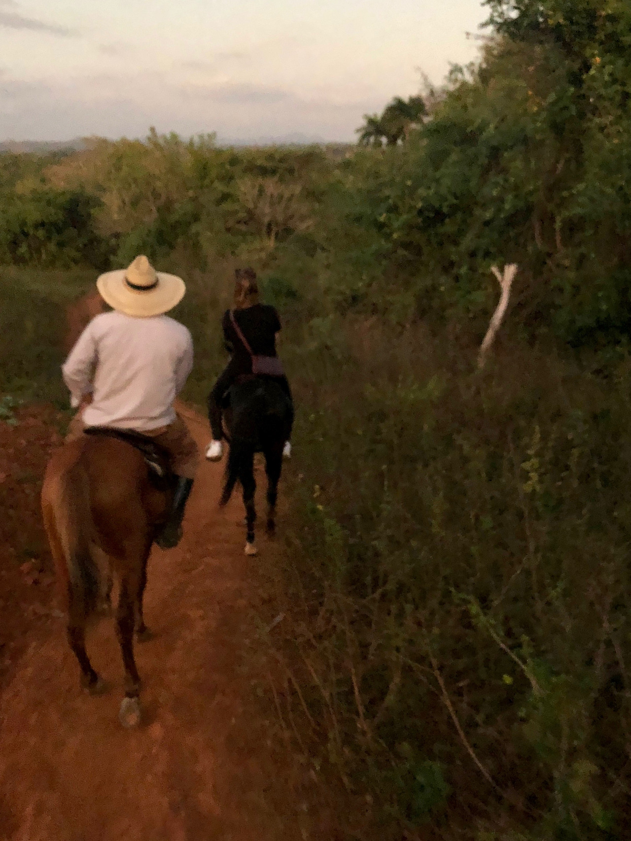 쿠바 - 1 (30).jpg