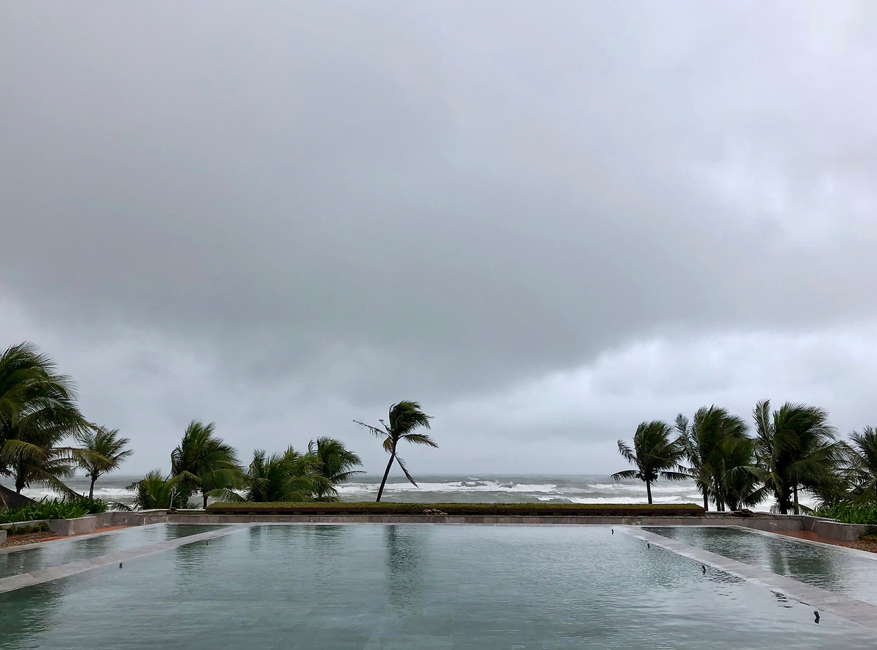 베트남 - 1 (4).jpg