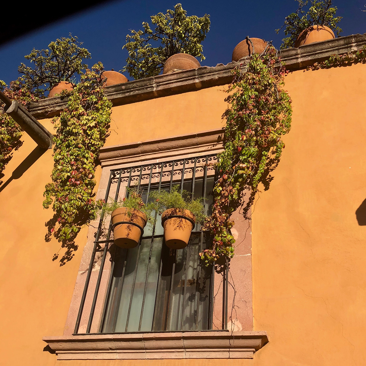 멕시코 - 1 (103).jpg