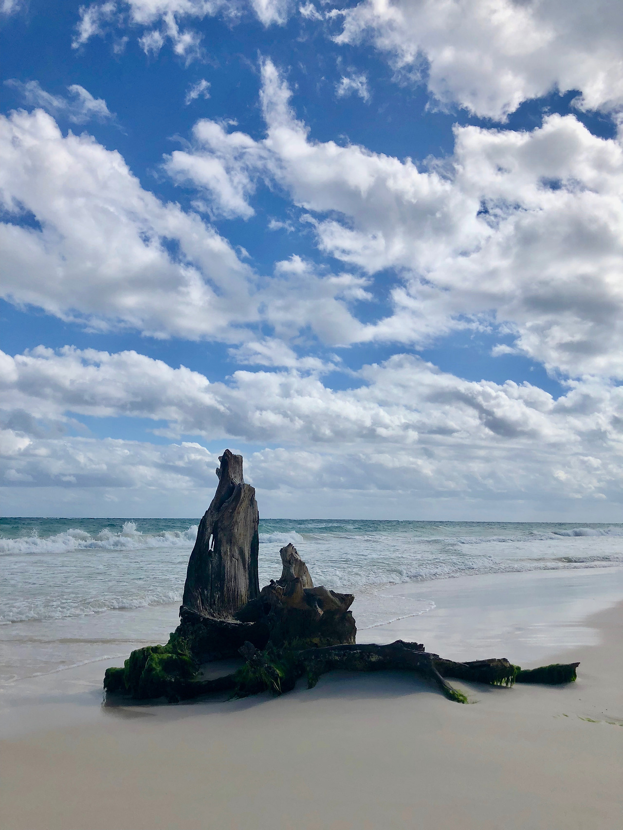 멕시코 - 1 (186).jpg