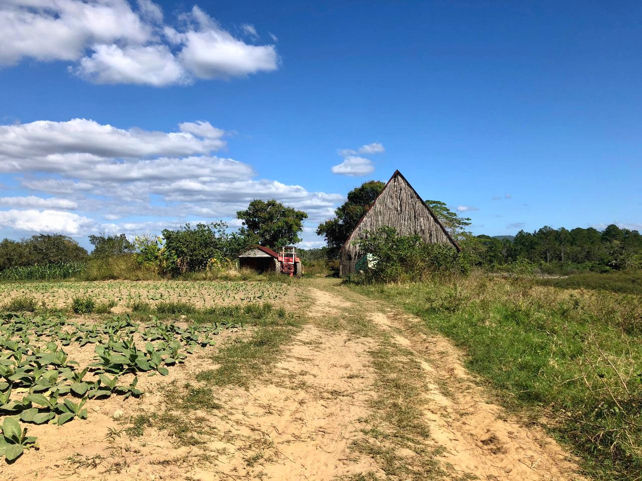 쿠바 - 1 (34).jpg