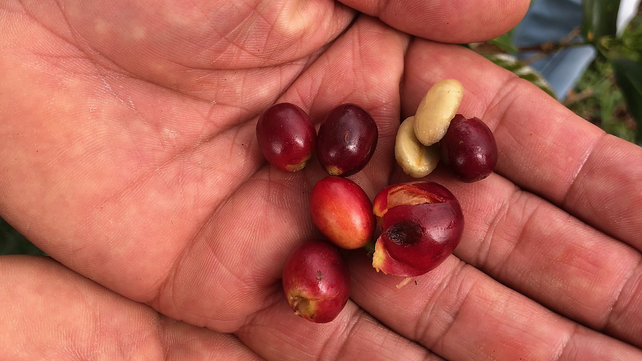 콜롬비아 - 1 (90).jpg