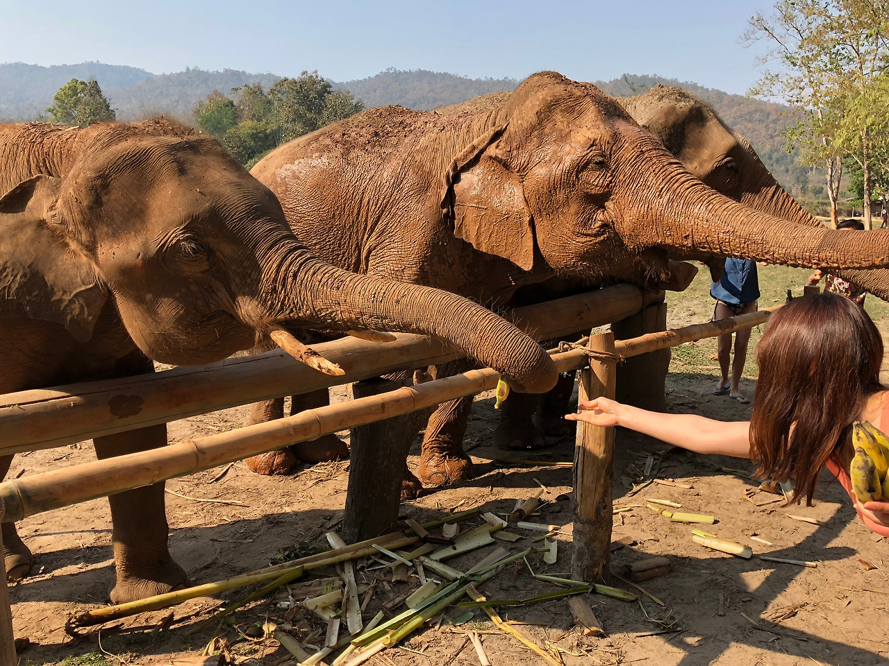 태국 - 1 (10).jpg