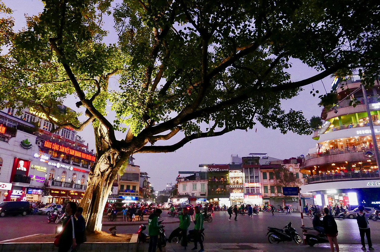 베트남 - 1 (2).jpg