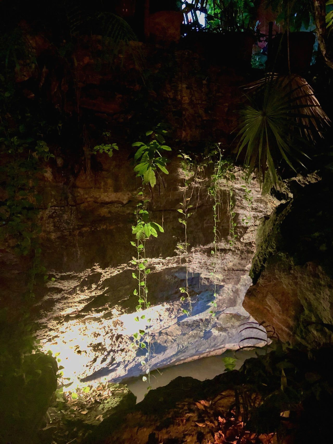 멕시코 - 1 (149).jpg