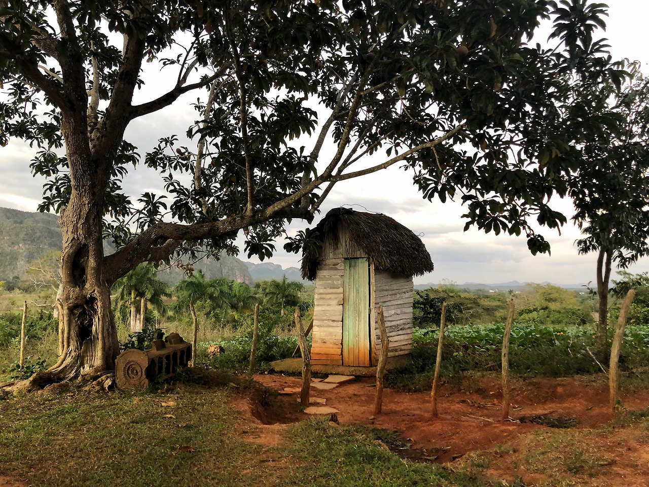 쿠바 - 1 (25).jpg