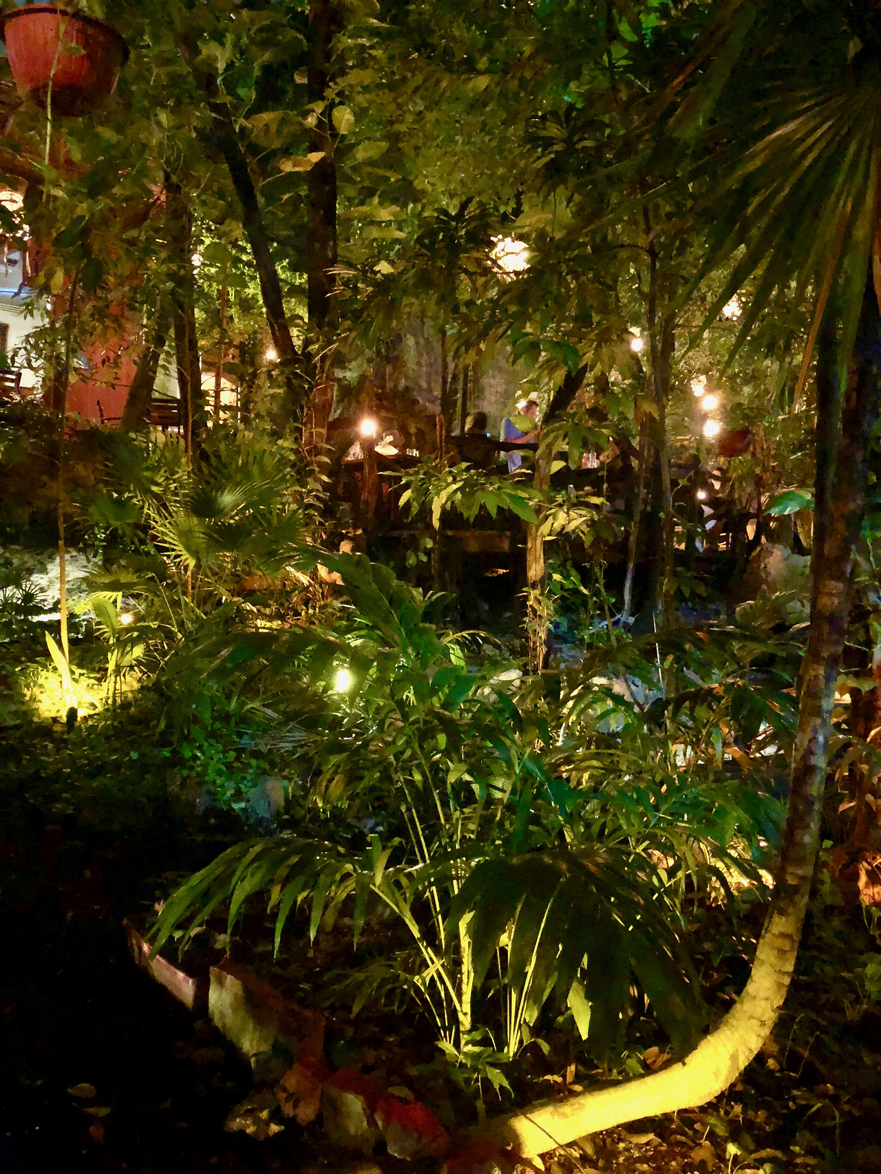 멕시코 - 1 (151).jpg