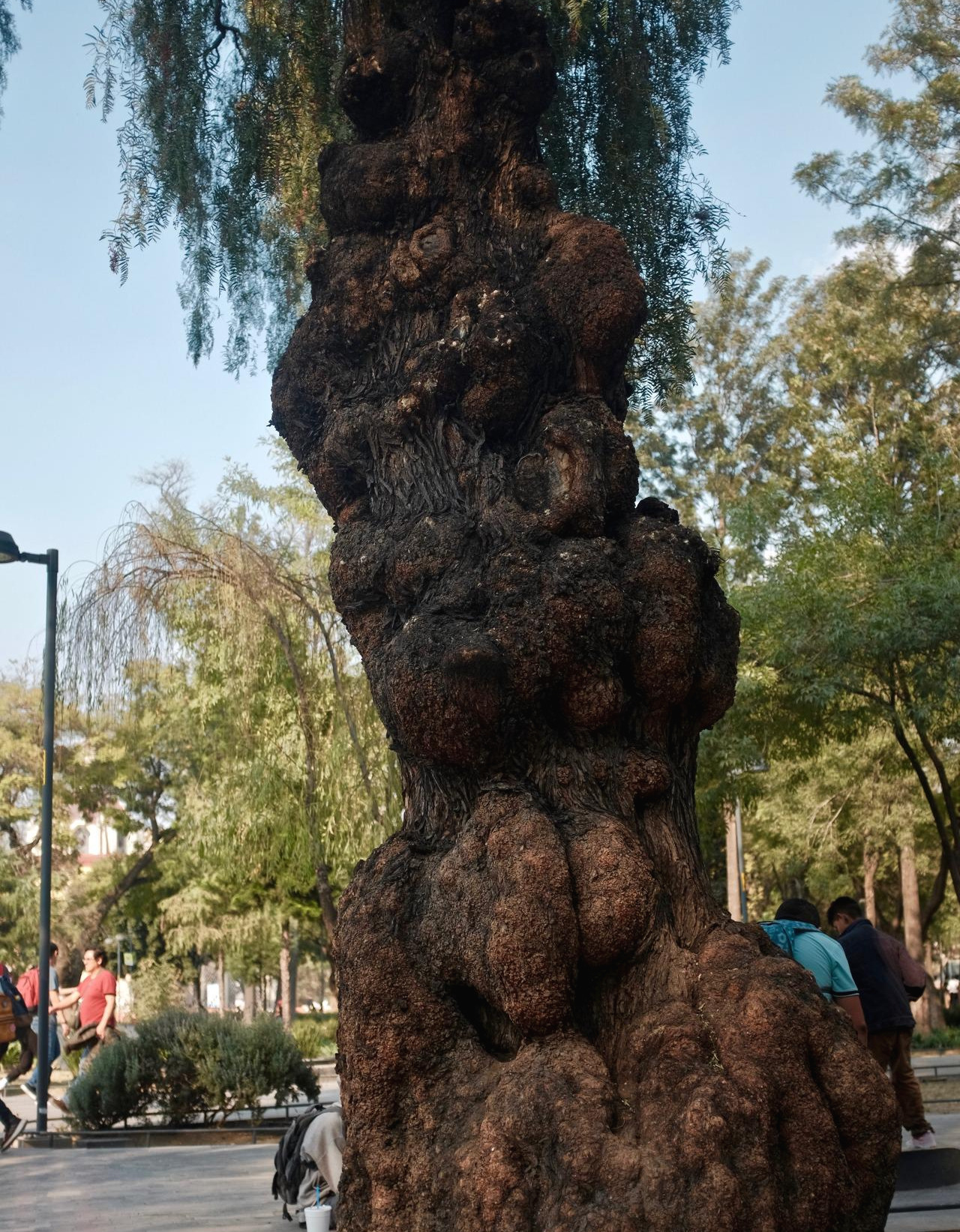 멕시코 - 1 (14).jpg