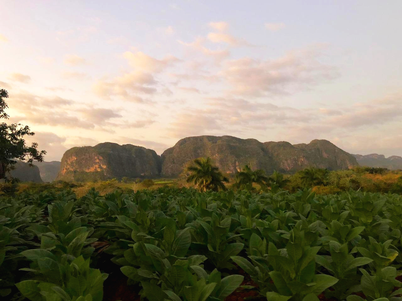 쿠바 - 1 (29).jpg