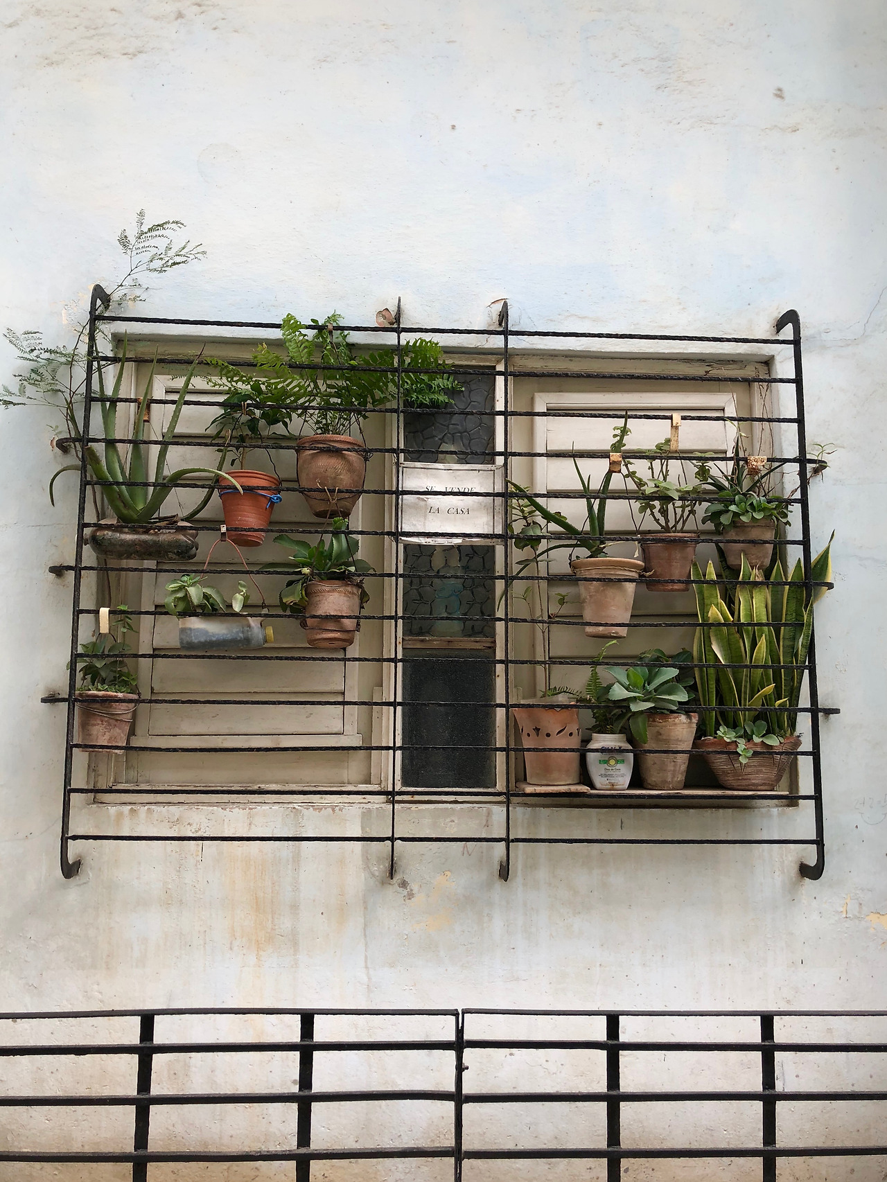 쿠바 - 1 (91).jpg