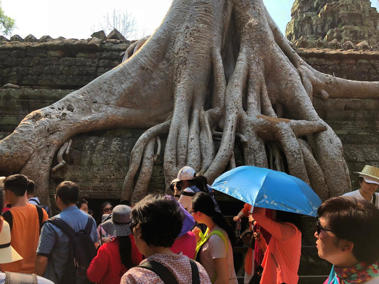 캄보디아 - 1 (36).jpg