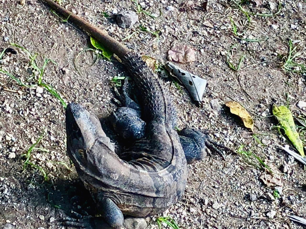 멕시코 - 1 (167).jpg