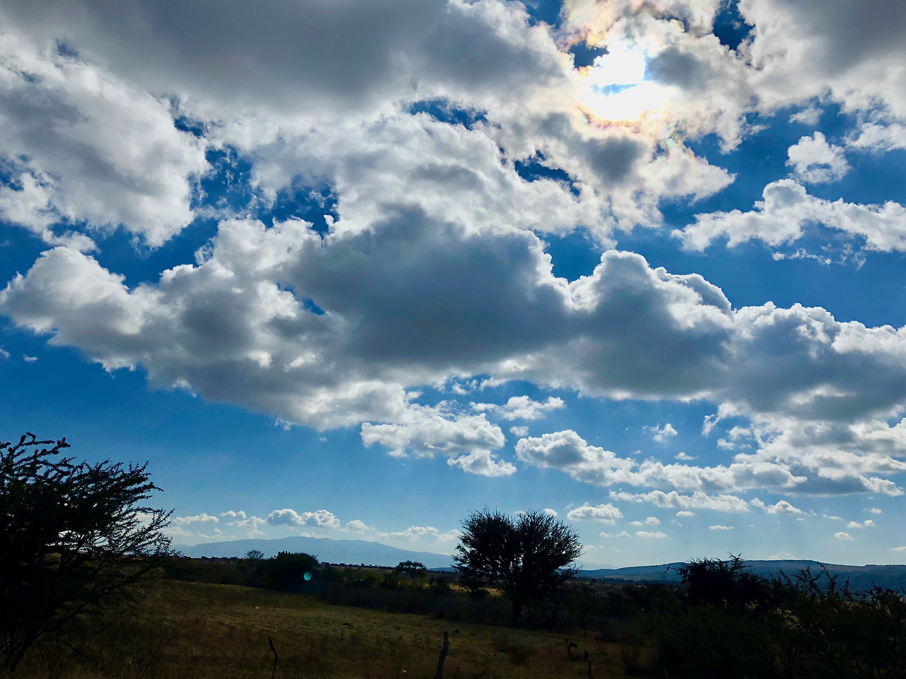 멕시코 - 1 (43).jpg