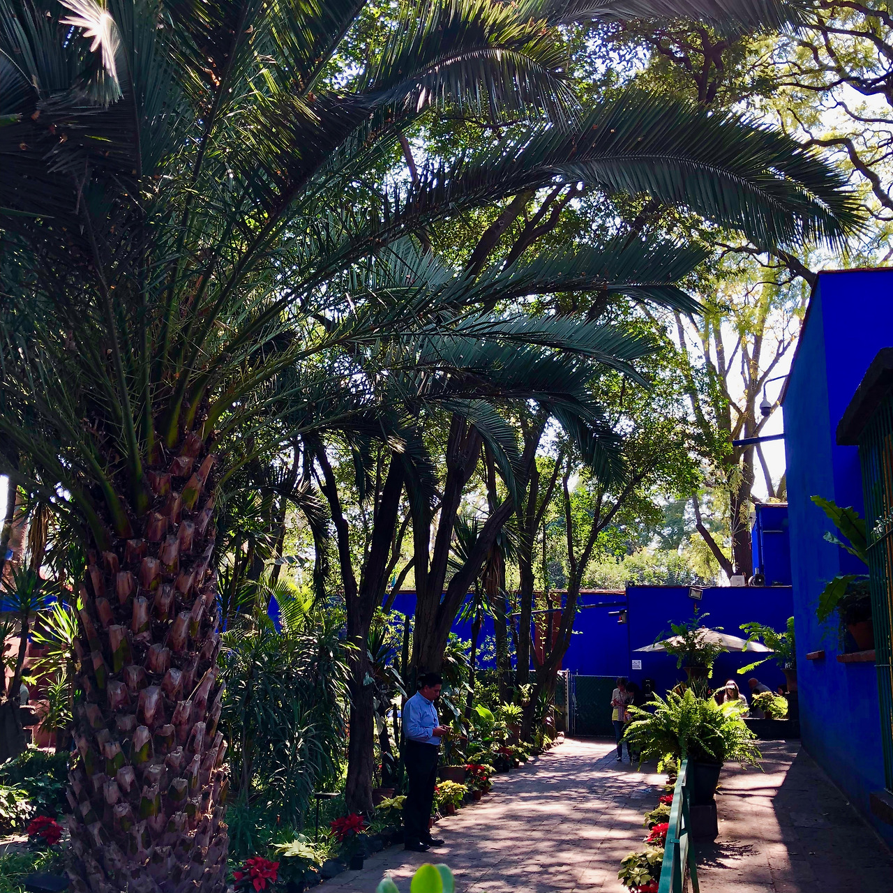 멕시코 - 1 (87).jpg