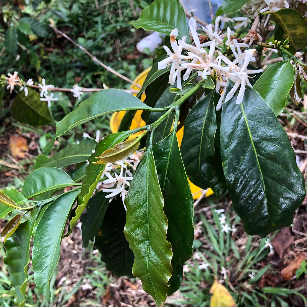 콜롬비아 - 1 (89).jpg