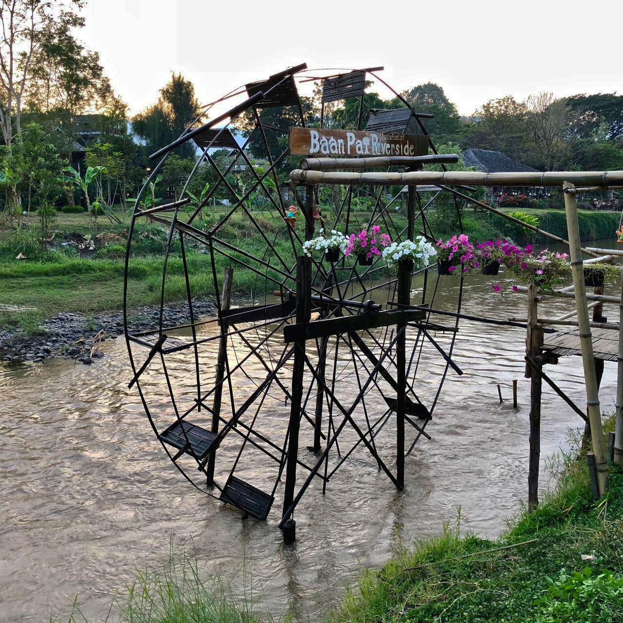 태국 - 1 (35).jpg