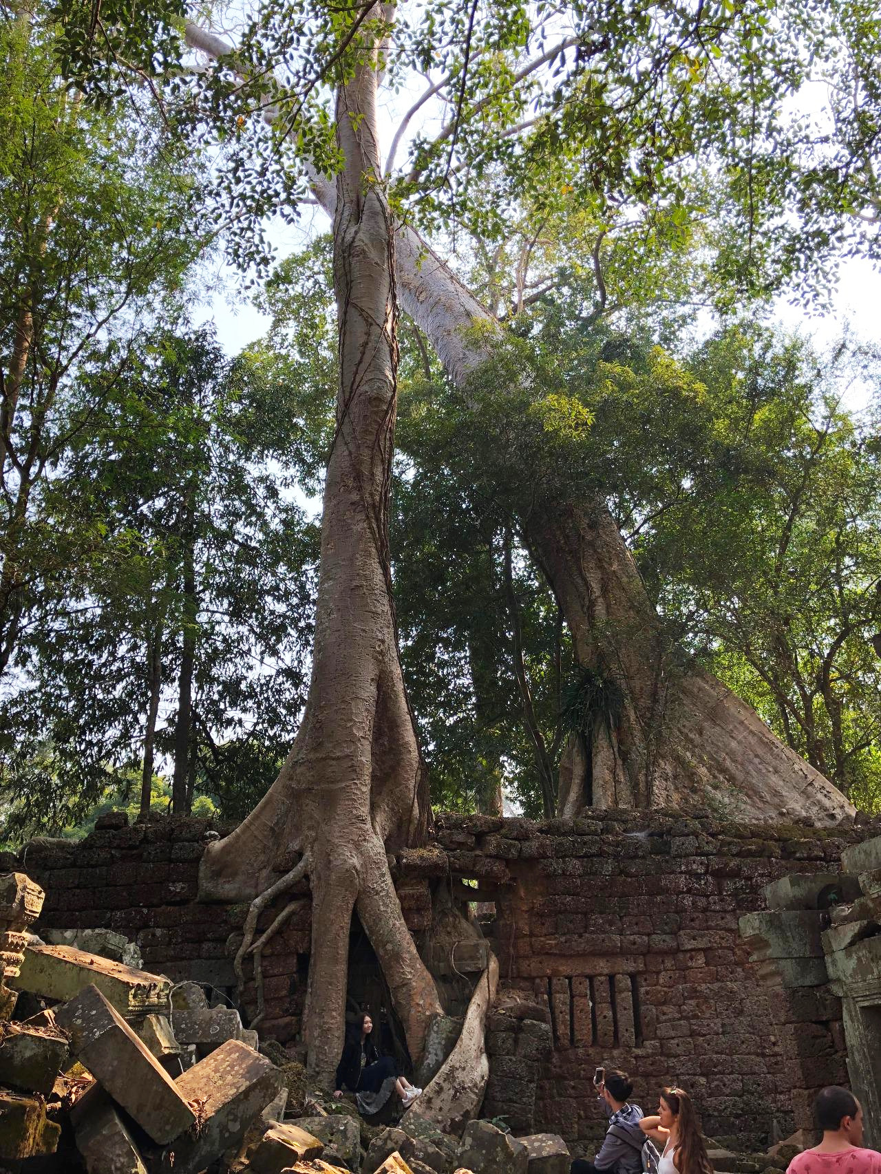 캄보디아 - 1 (30).jpg