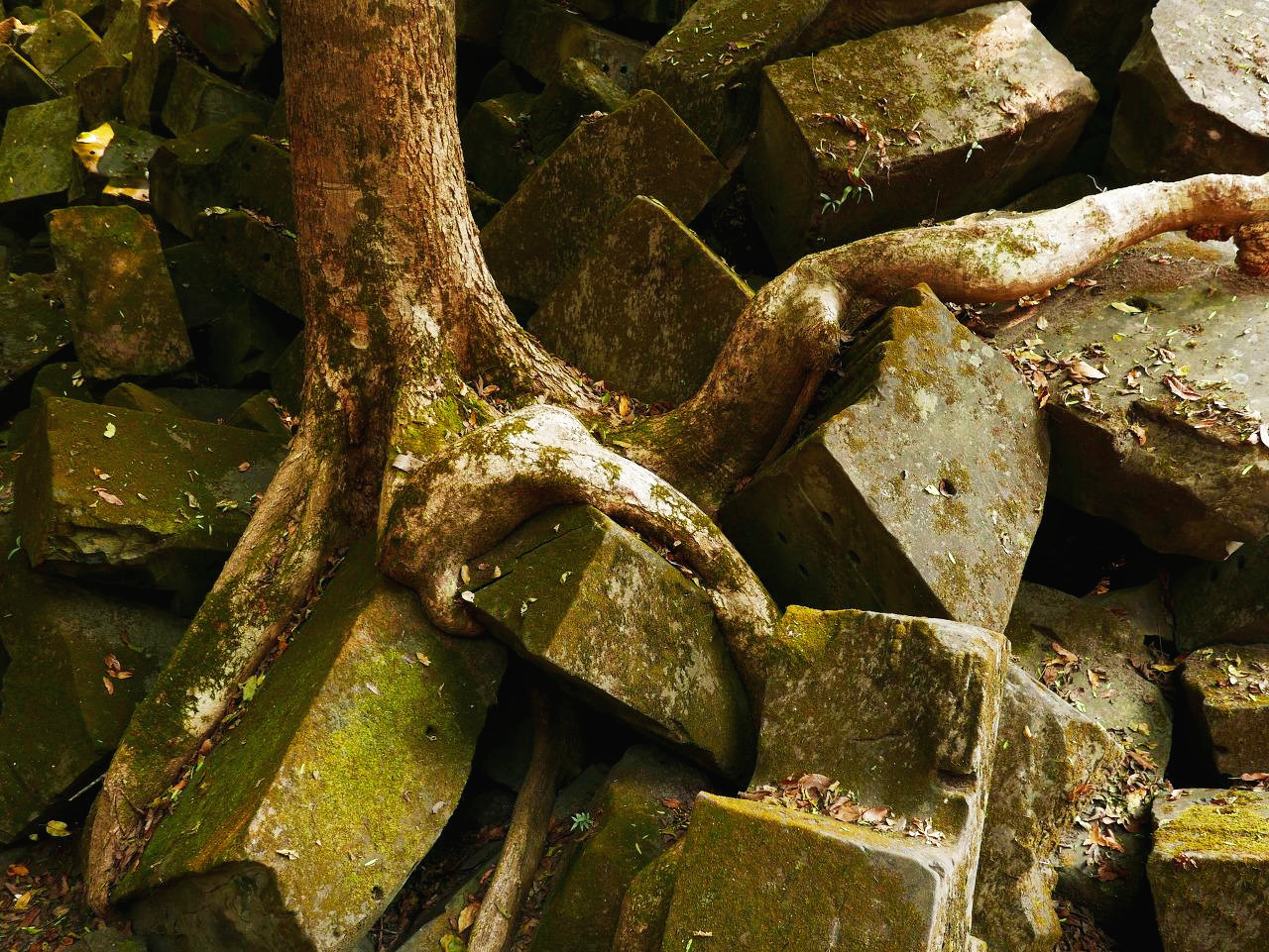 캄보디아 - 1 (4).jpg