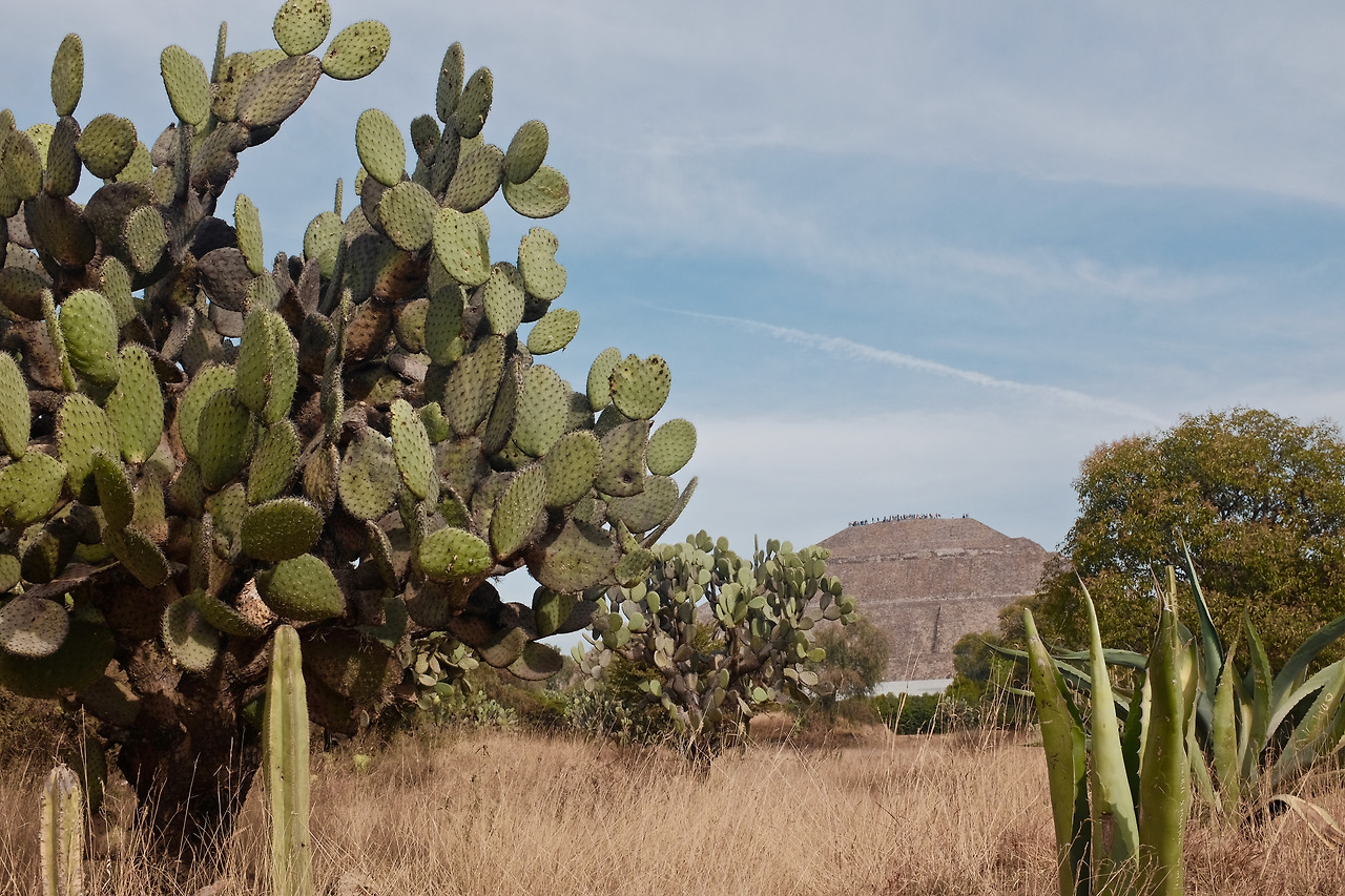 멕시코 - 1 (27).jpg